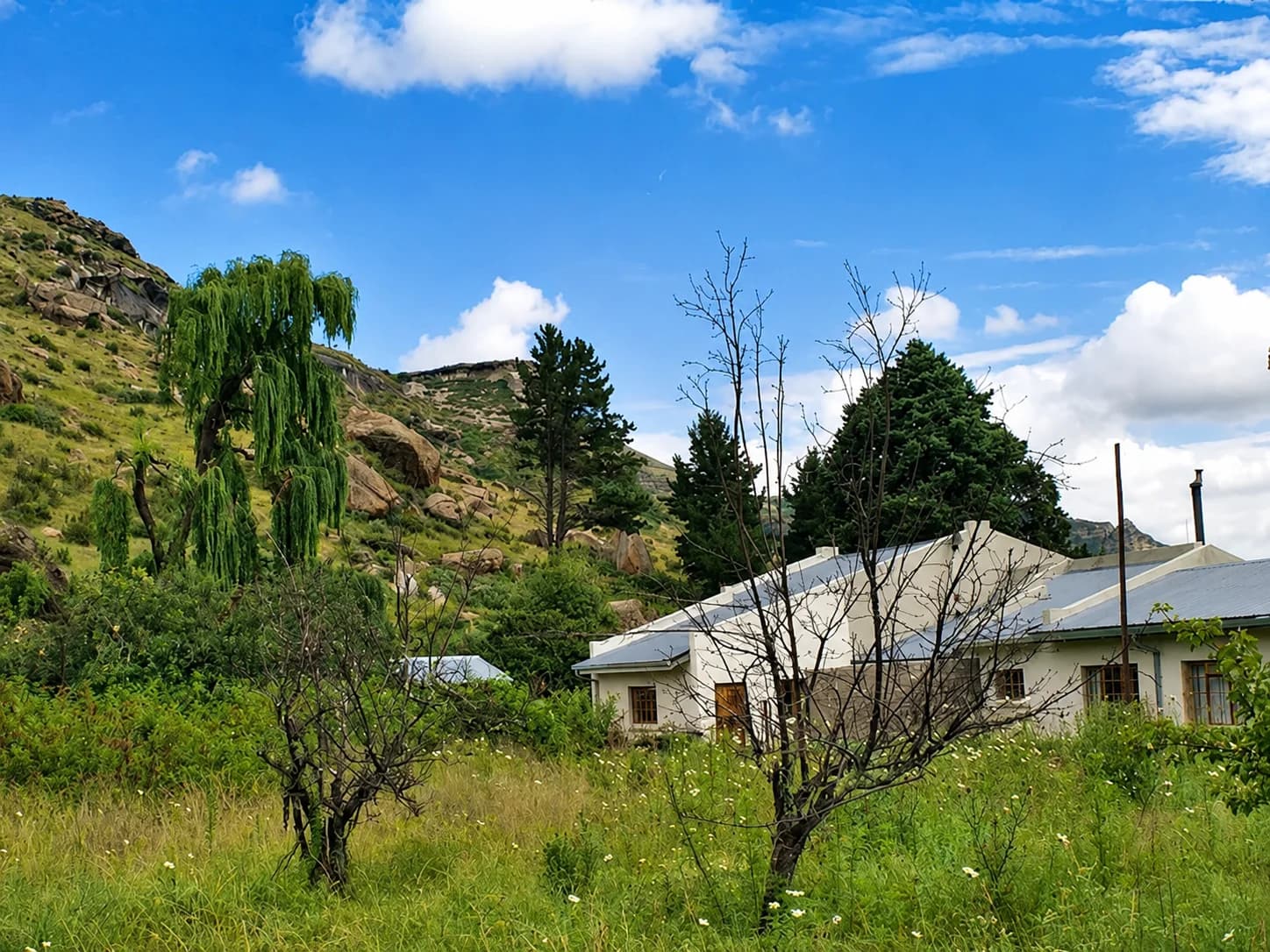 Aspen Guesthouse