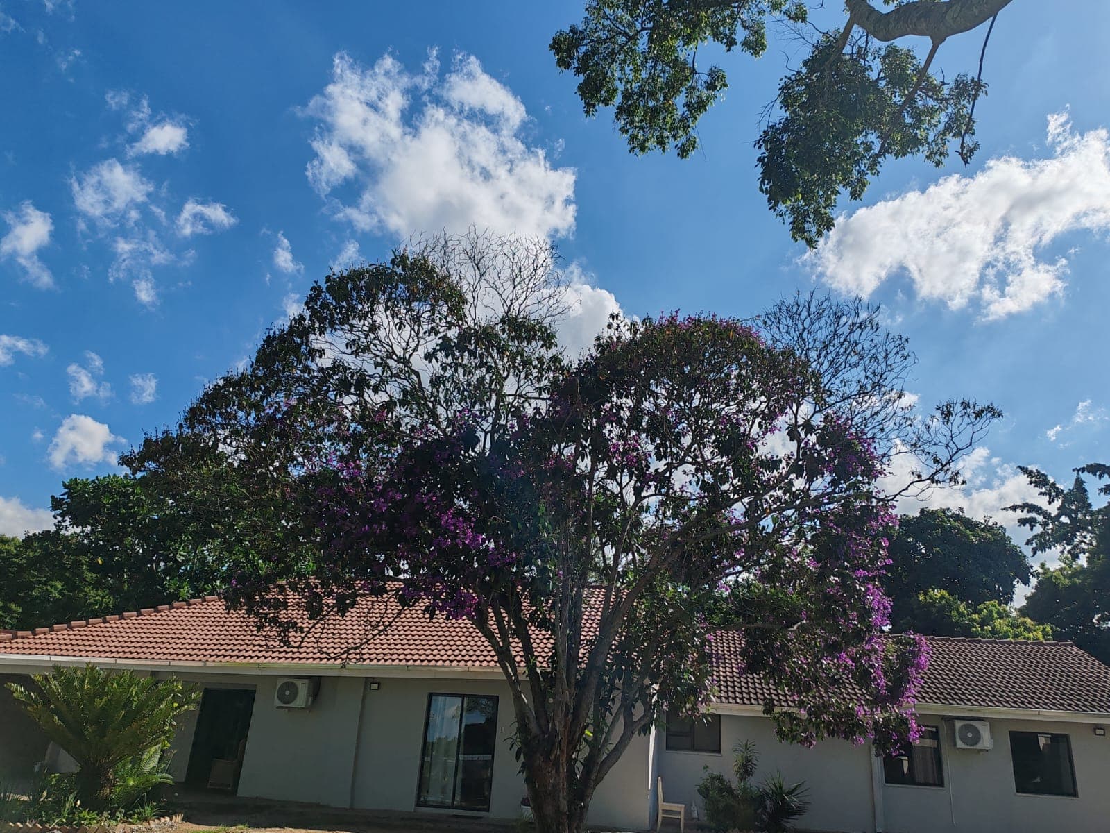 Golf B&B, Mbombela, SOUTH AFRICA — gallery photo 3